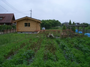 草刈りが必要です。