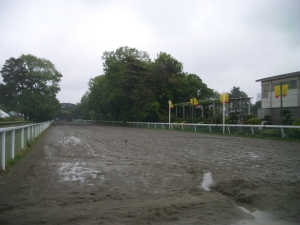 馬事公園の競馬用の走路