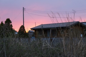 変な色に空が染まっていました。