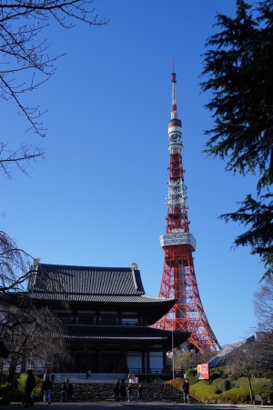 増上寺境内からの東京タワー