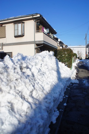 雪かきが、、趣味に、なってきました。 雪かきが、、趣味に、なってきました。