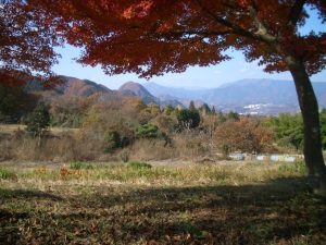 藤野の紅葉 藤野の紅葉