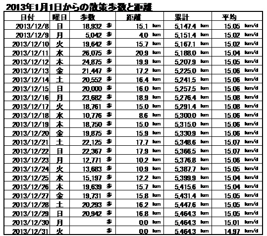 ホント、おバカな距離を歩いてしまいました。