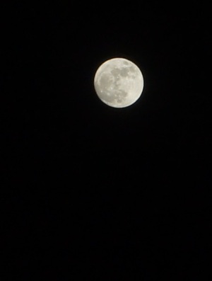 今晩は、、　月がキレイです。
